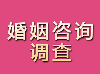 崇礼婚姻咨询调查